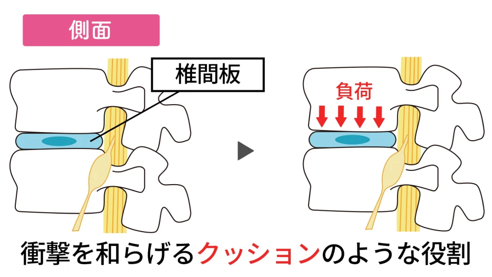 衝撃を和らげるクッションのような役割