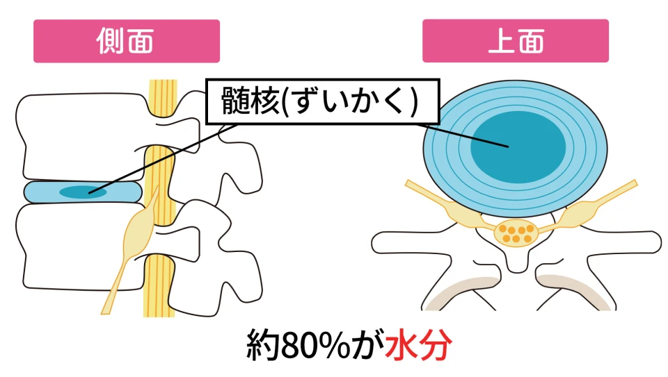 約80%が水分